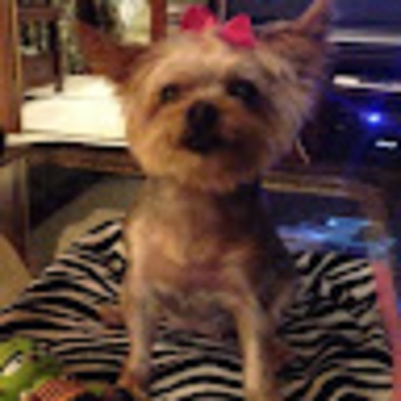 pamela_olmstead